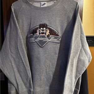 Warner Bros. Gray Sweatshirt
